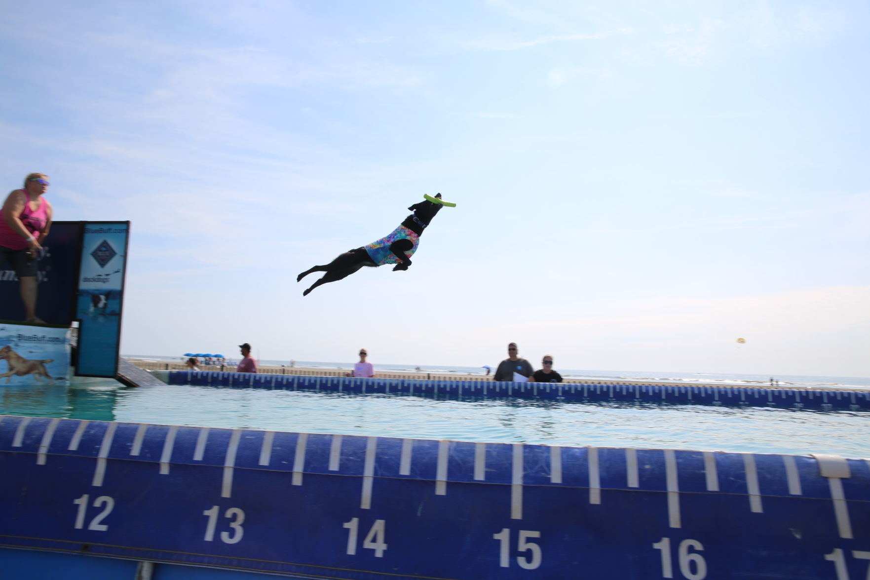 090919_gal_dockdogsWW (56)